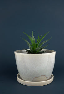 Permafrost Planter