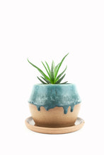 Load image into Gallery viewer, Reef Drippy Planter