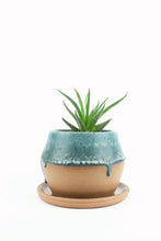 Load image into Gallery viewer, Reef Drippy Planter