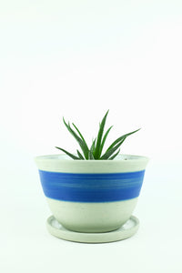 Atoll Planter