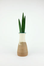 Load image into Gallery viewer, Reef Natural Vase